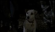 Wishbone (1995–1998) | Image Source: PBS
